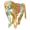 Baboon
