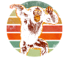 Chimpanzee Bonobo