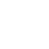 No independent thought
