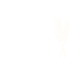 I LOVE SEITAN