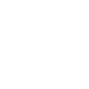 Lockpick Lockpicking Professional Locksmith