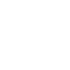Lockpick Lockpicking Professional Locksmith