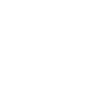 Lockpick Lockpicking Professional Locksmith