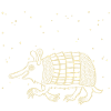 Armadillo