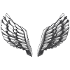 Wing