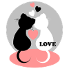 Cat Love