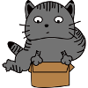 Cat in the box