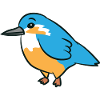 Kingfisher - Illustration