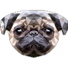 Polygonal Puppy Pug