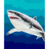 Grand Requin Blanc Vincent Van Gogh Style