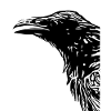 Corbeau