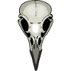 crow skeleton raven
