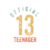 Official 13 Teens