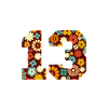 Official 13 Teens