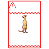Warning Meerkat Safari Meerkat