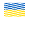 Ukraine flag