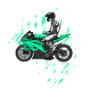 Moto Lifestyle / Moto / Moto motard