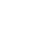 Bernedoodle - Chiens