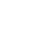 Pomeranian Guide To Training