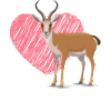 Gazelle
