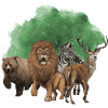Wild Zoo Animals Safari