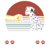 Dalmatian friends dog lovers