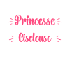 Compliqué princesse et Ciseleuse