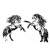 Horse Drawing