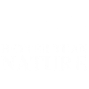 Human better than Nature