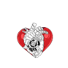 Operation Heart Gift
