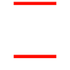 Birds aren't real Demonstration
