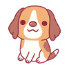 Cute Little Beagle Dog Puppy