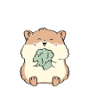 Hamster Gift Hamster Lovers