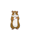 Hamster Gift Hamster Lovers