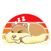 Hamster Gift Hamster Lovers