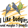 Budgerigar