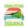 Iguana Lizard Reptile Herpetologist