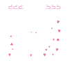 Bolonka Zwetna Gift Dogs
