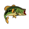 Stupid Bass Hobbyist Poison