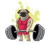 Pug -Weightlifting Training Trainer Poison