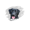 Schwarzer Labrador Schutzengel Spruch