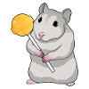 Hamster lollipops