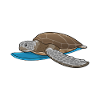 Turtle Surfer Planche de surf