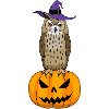 Eagle Owl Halloween
