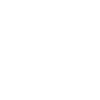 Leiden coordinates