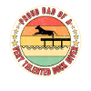Dock Diving Dad Father
