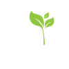 Running On Plants