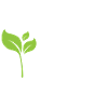 Vegan Runner