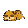 Erdmännchen Müde Erdmännchen Pyjama Schlafendes