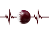 Qatar Football 2022 heartbeat Qatar